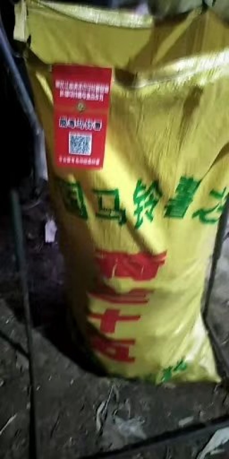 出售各种原一土豆种子