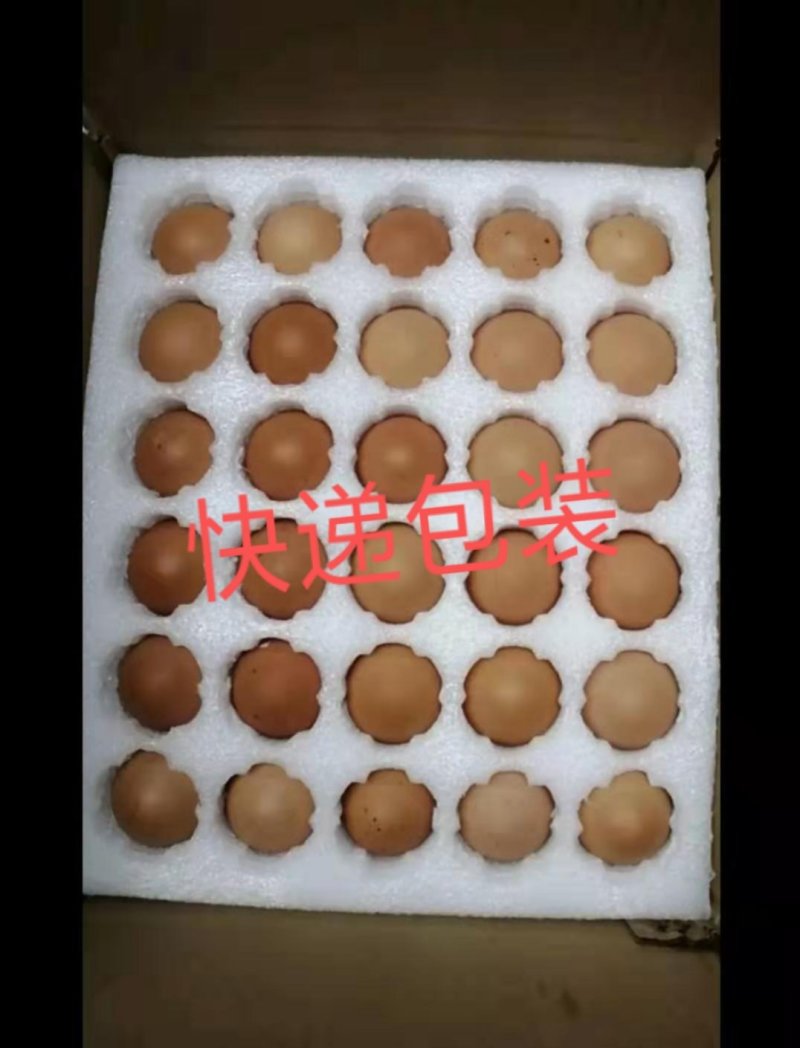 青脚鸡土鸡种蛋瑶鸡种蛋保障受精率破损补损