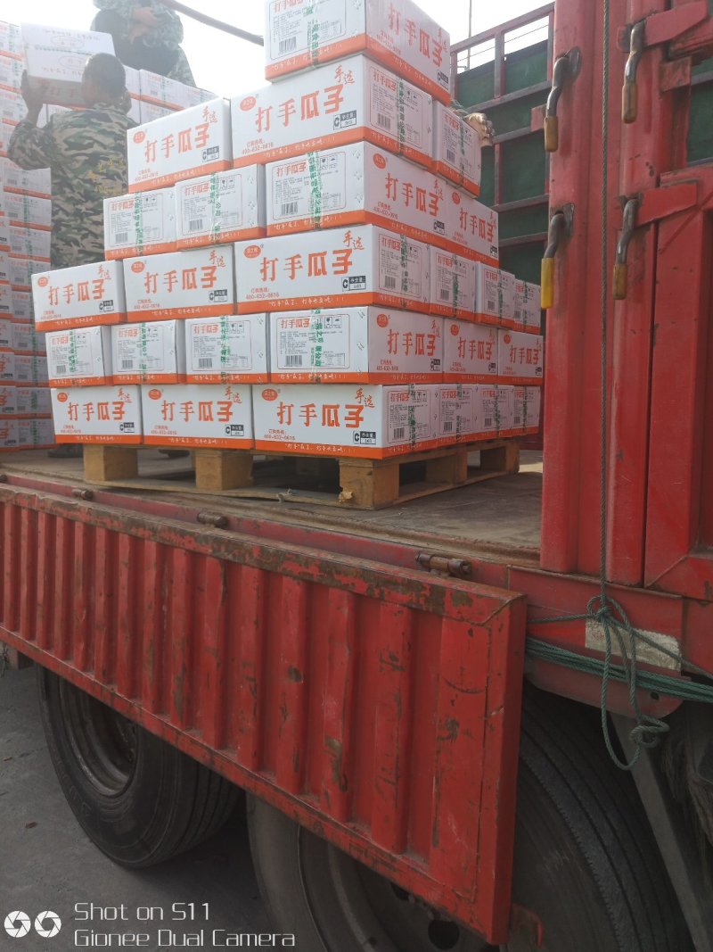 打手瓜子，特价出20吨货，质量超级棒，欢迎订购