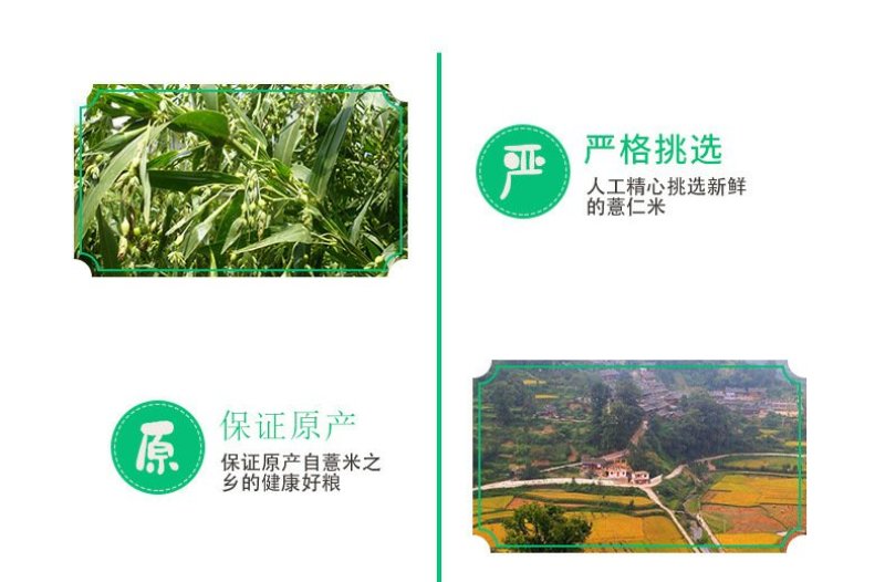 贵州薏仁吊浆鸡蛋面