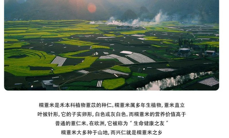 贵州薏仁吊浆鸡蛋面