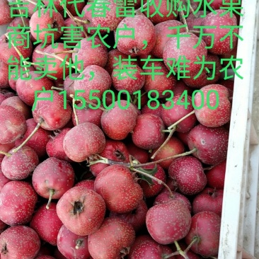 便宜山渣出售