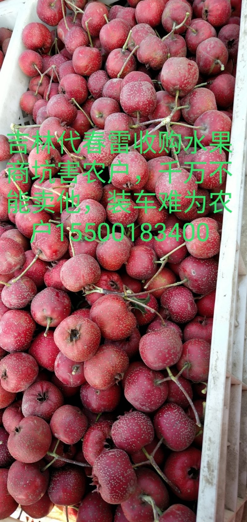 便宜山渣出售