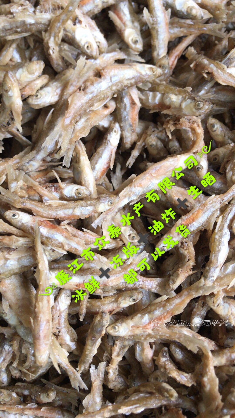 粉炸白肖鱼不开肚一手货源