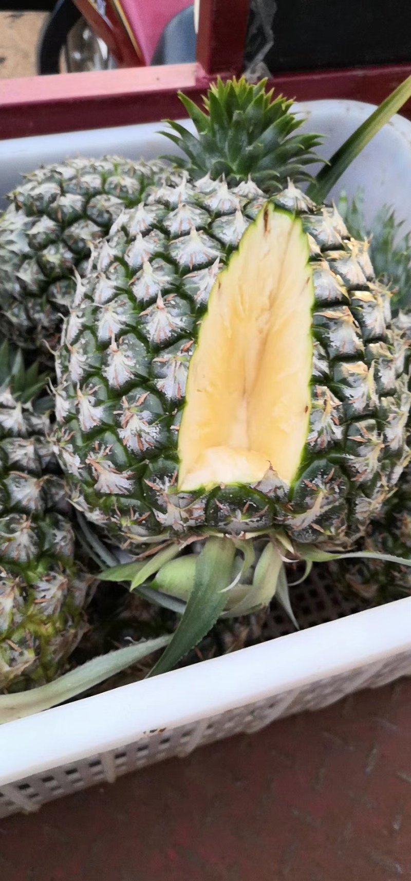 22号西瓜凤梨苗，菠萝苗，台湾品种，大果可达到12斤