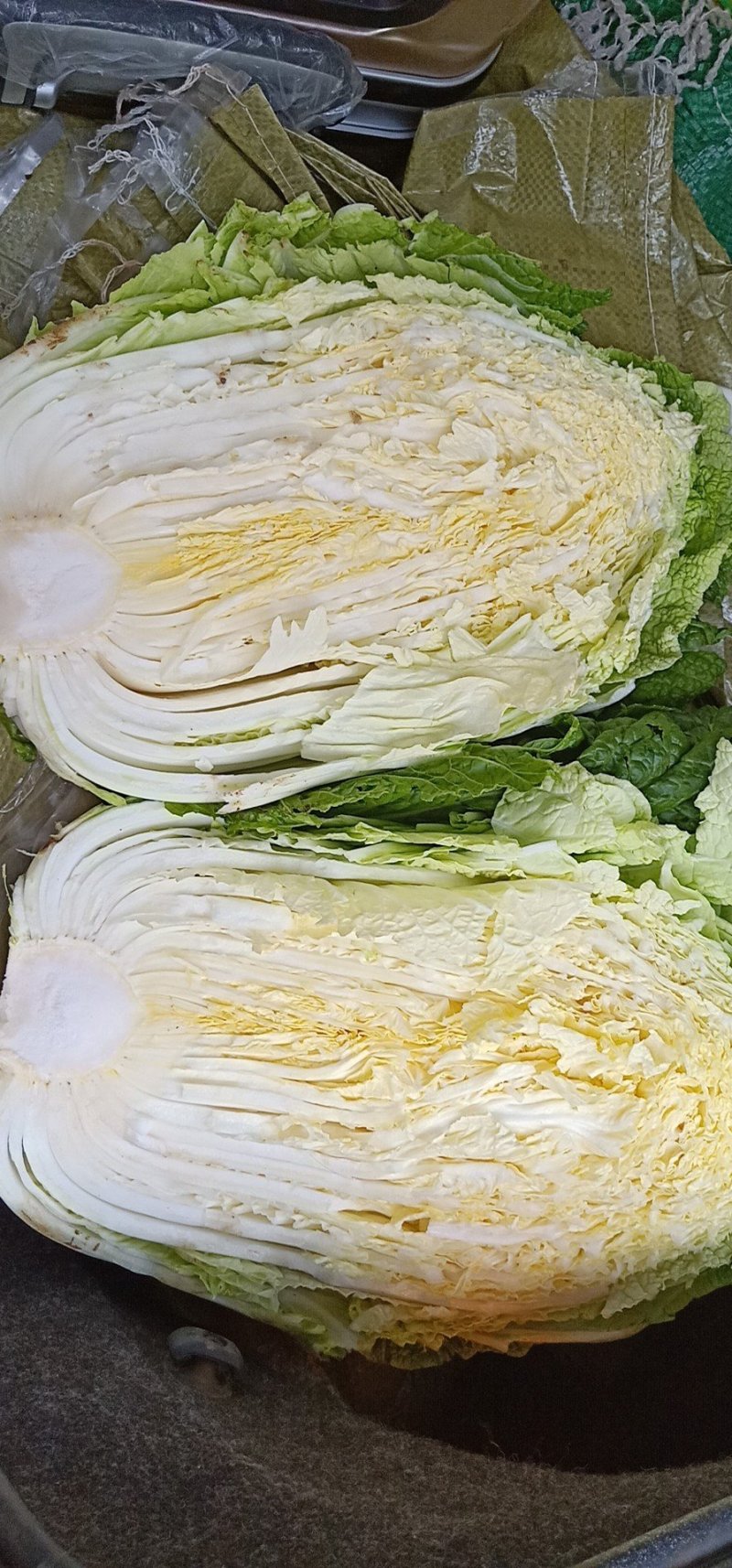 黄心白菜，大黄心，小黄心可以按客户要求加工各种规格包装，