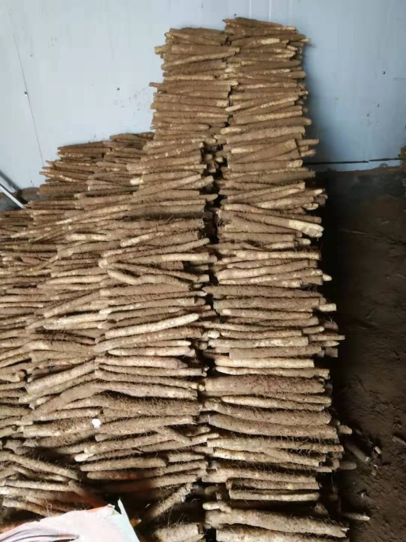 小白嘴山药生产基地直接供应