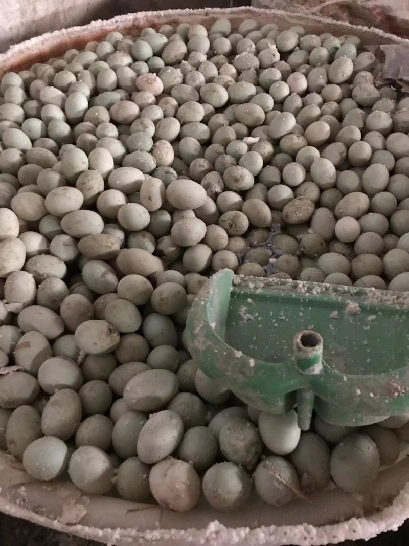 泥腌鸭蛋口感好大量批发品质保证