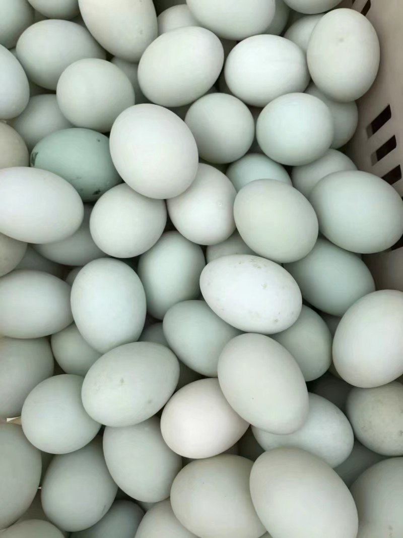 泥腌鸭蛋口感好大量批发品质保证