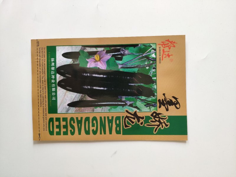 墨娇龙紫黑长茄种籽高产黑紫茄子种