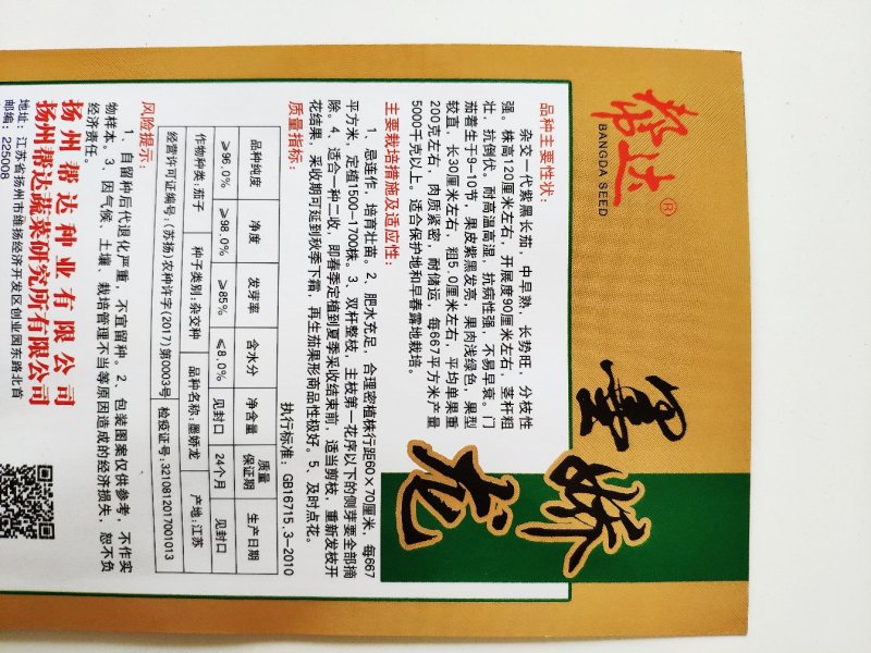 墨娇龙紫黑长茄种籽高产黑紫茄子种