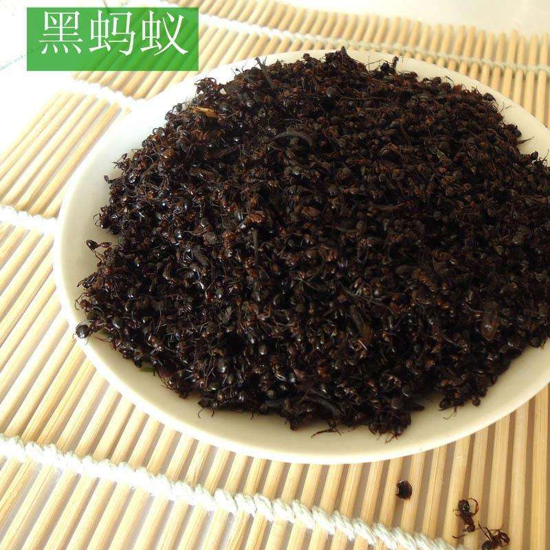 黑蚂蚁中药材蚂蚁泡酒产地直销