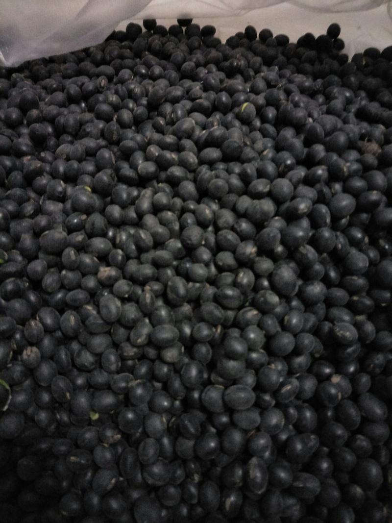 绿仁黑豆，东北粮油作物黑豆绿豆
