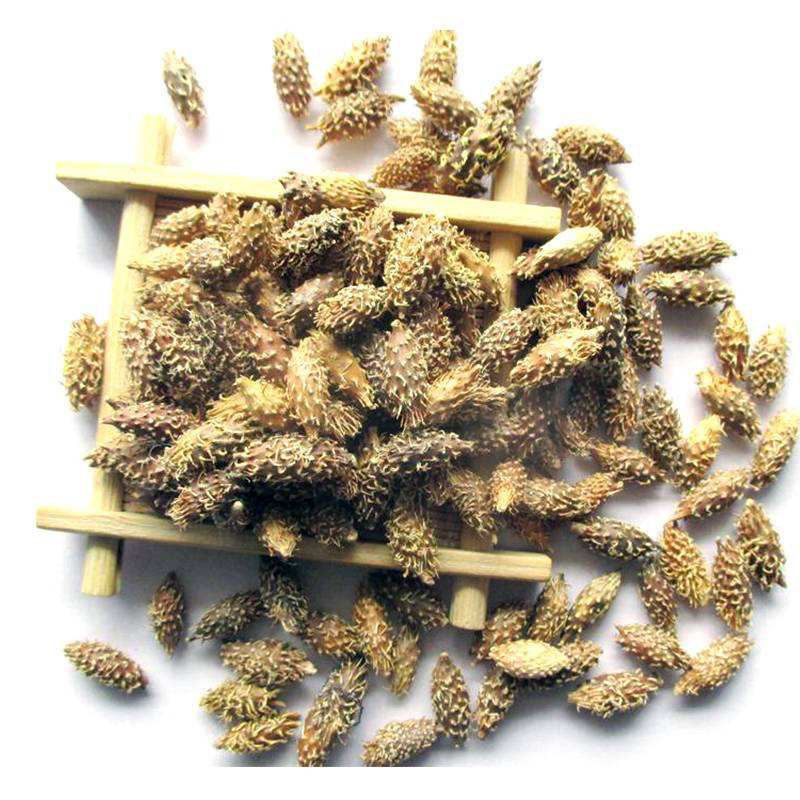 苍耳子万种中药材产地直销量大从优