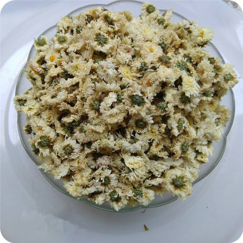 亳菊亳州特产药用菊花干品中药材自产自销