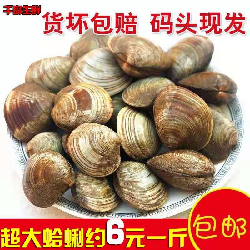 蛤蜊包活