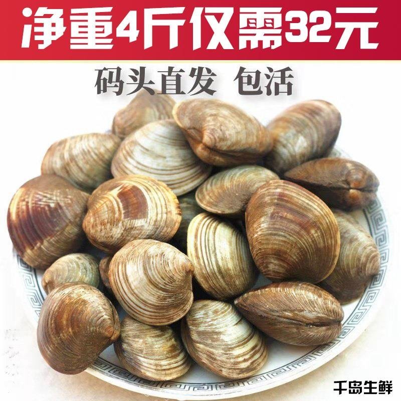 蛤蜊包活