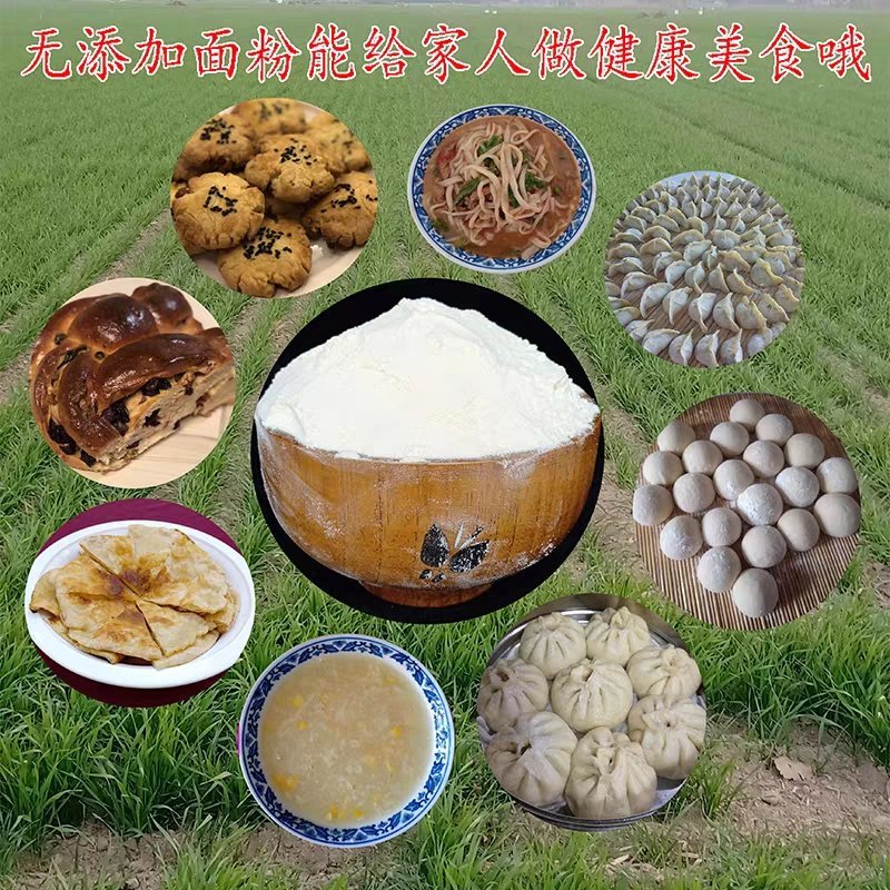 内蒙河套农村自磨高筋面粉