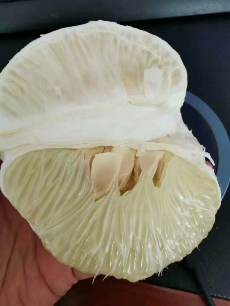 冰糖柚子甜味好一手货源充足质量有保障高山好货