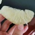 冰糖柚子甜味好一手货源充足质量有保障高山好货