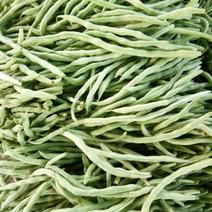 原产地直供精品芸豆，一级好货，刚刚上市，质量有保证。