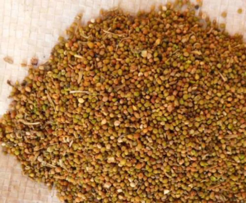 新货无琉菟丝子中药材泡酒泡茶