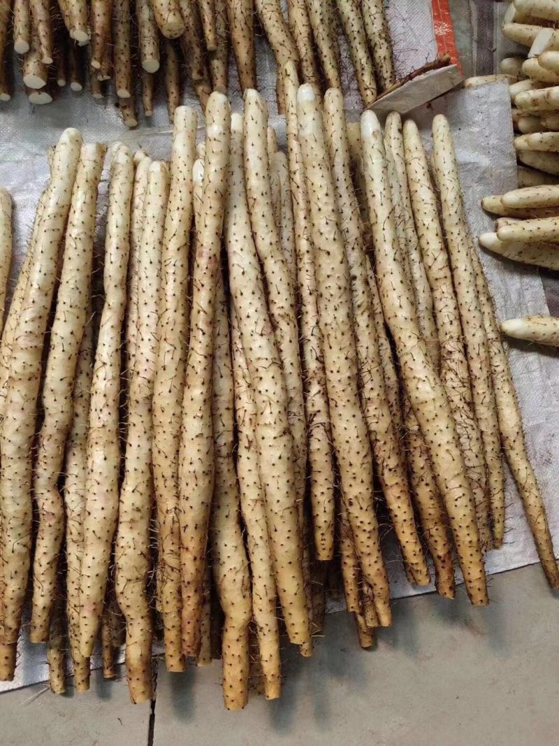 超市，精品市场小白嘴山药大量供应基地直供价格优惠