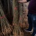 合欢树苗合欢苗绒花树苗芙蓉花树苗庭院盆栽合欢树苗绿化工程