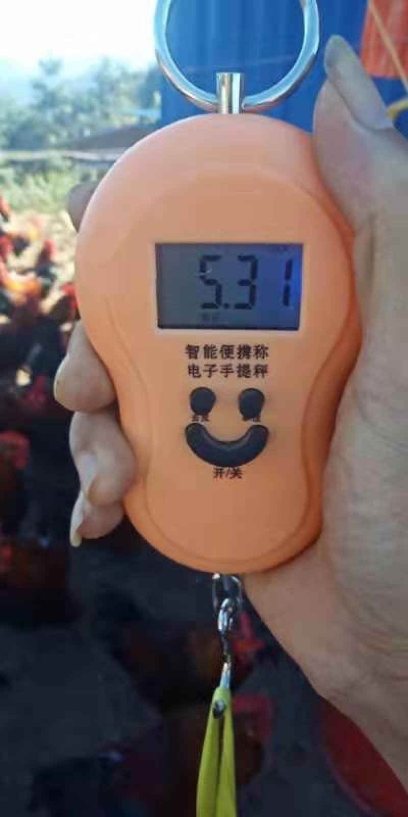 瑶公场地价，地头价，上车价