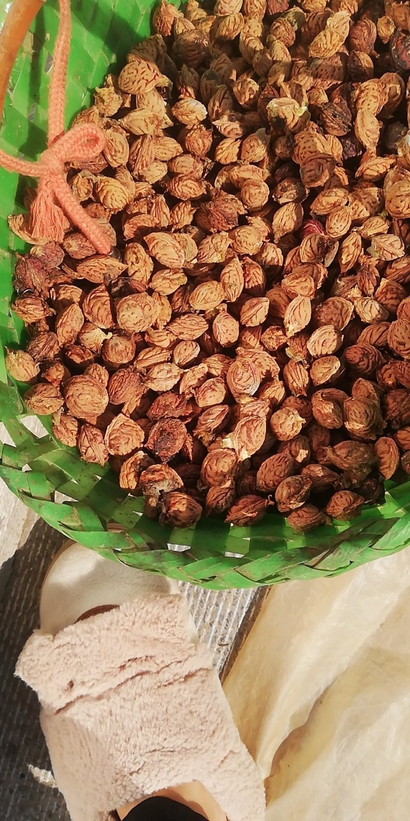 毛桃核青州蜜桃桃核育苗可视频看货量大从优