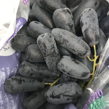 美国进口金手指黑提进口水果进口黑提