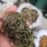 卷柏纯自然生长选货量大从优欢迎选购