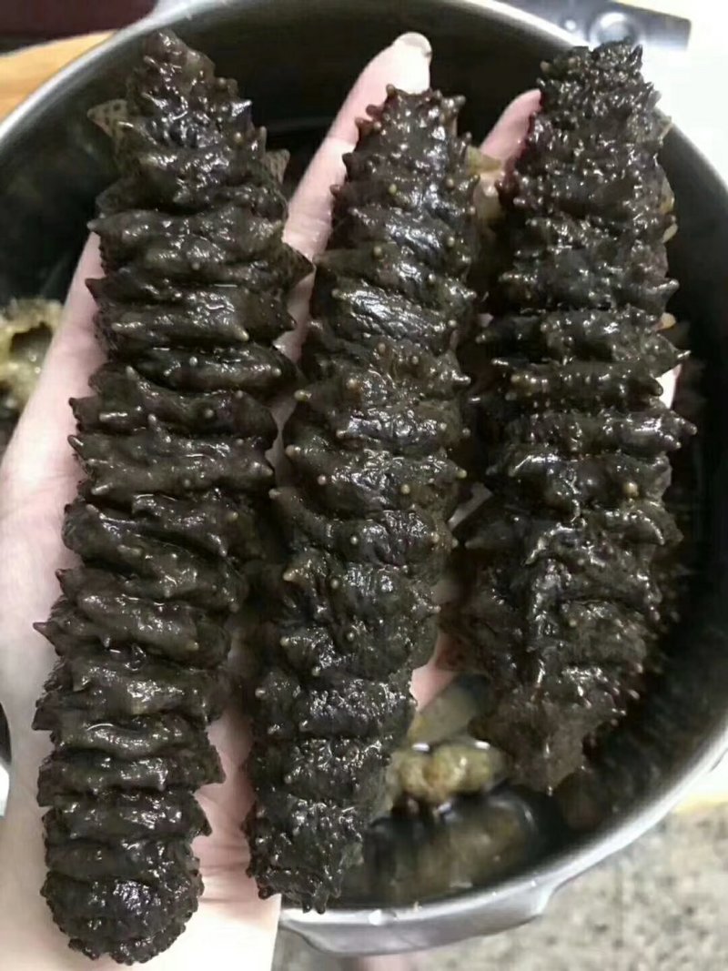 【包邮批发价】海参一手货源500g