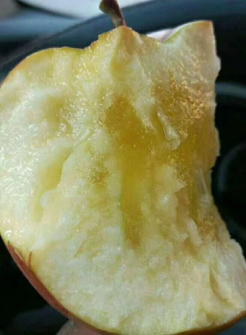 高原冰糖心红富士大量上市中，
