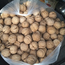 薄皮核桃