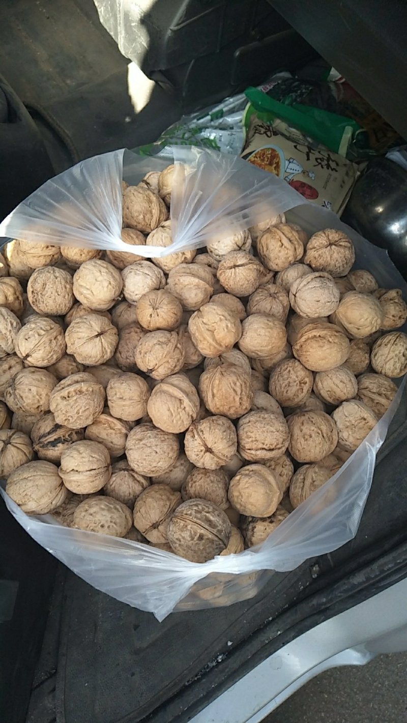薄皮核桃