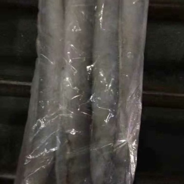 渤海刀鱼