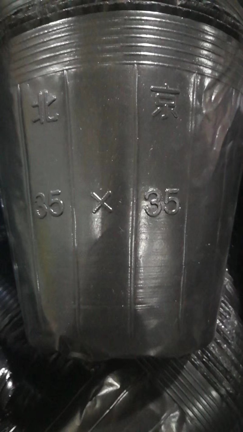 育苗杯21×21/2000个一件，9分一个。包邮到家！