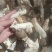 水豆鼓