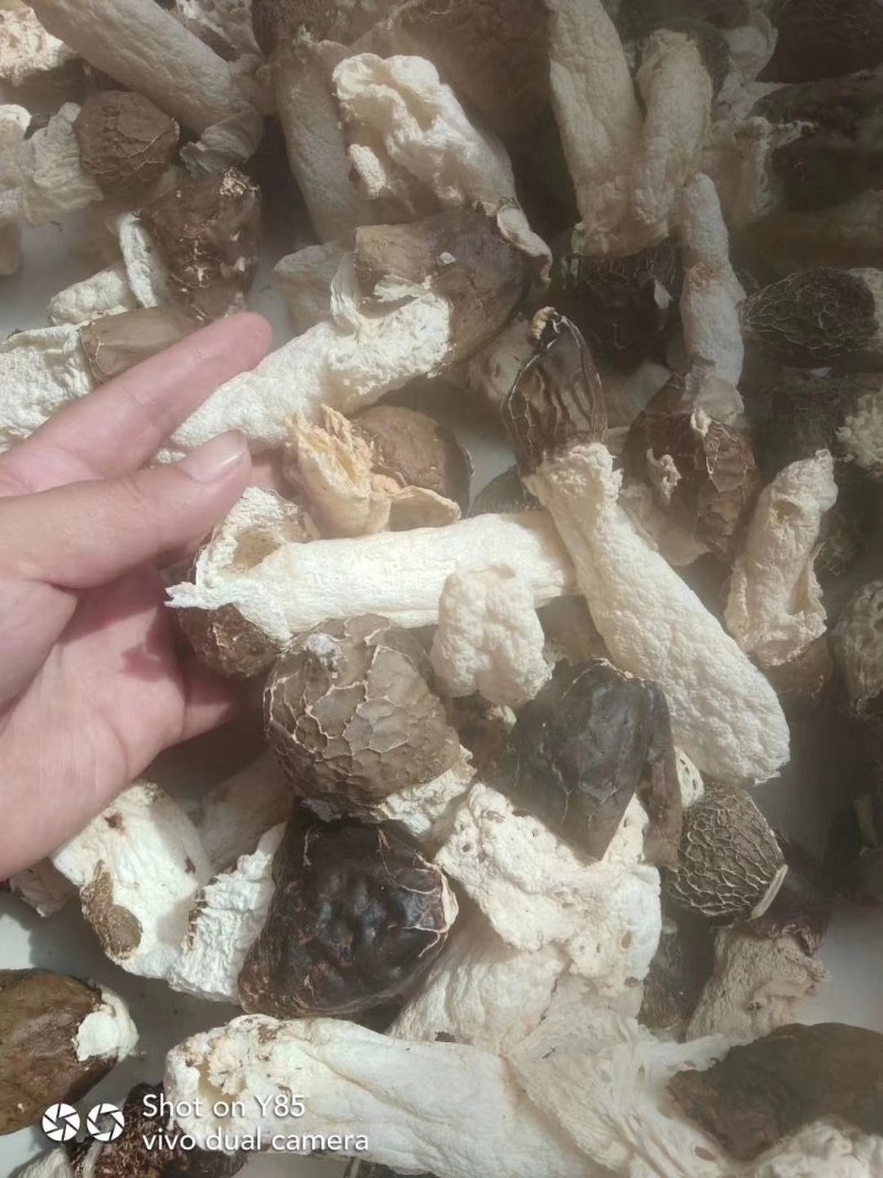 水豆鼓