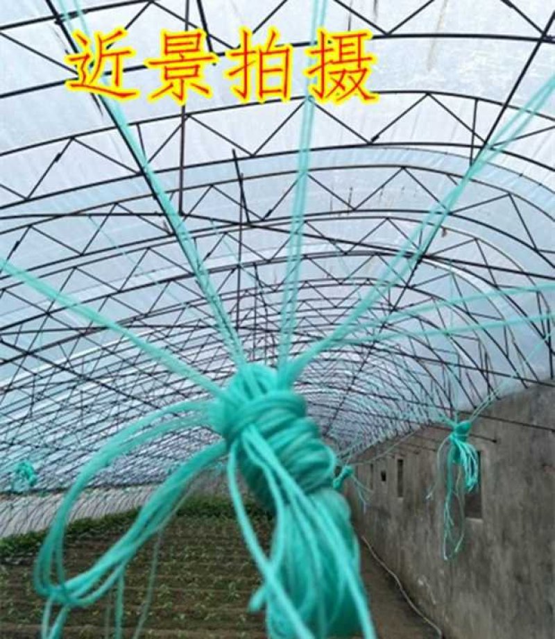 吊秧绳大棚绑蔓绳大棚压膜绳黄瓜西红柿吊蔓绳塑料绳子尼龙绳