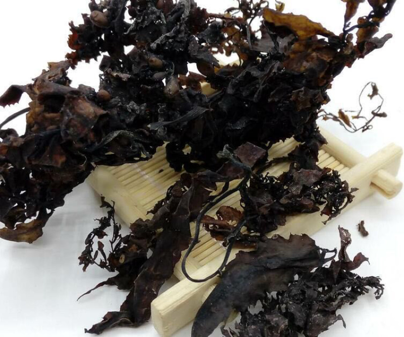中药材天然海藻中药材产地一手货源