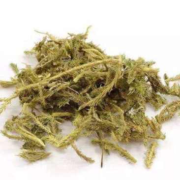 精品伸筋草中药材产地直销