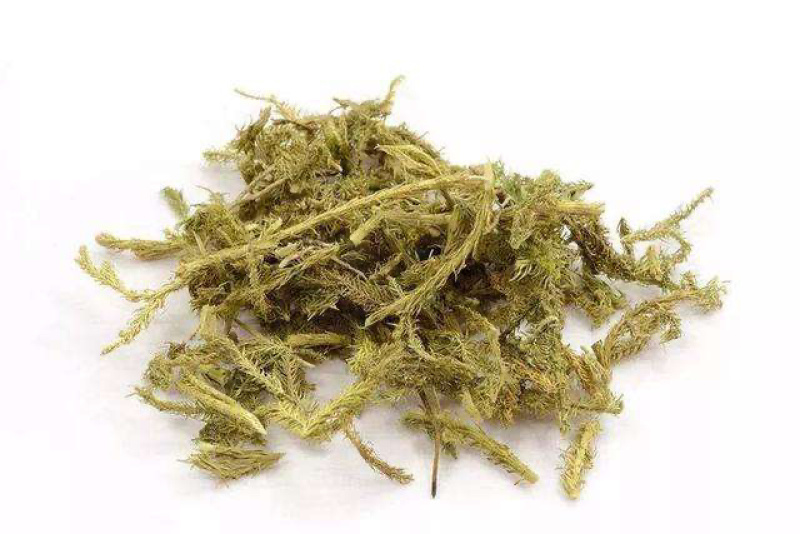 精品伸筋草中药材产地直销