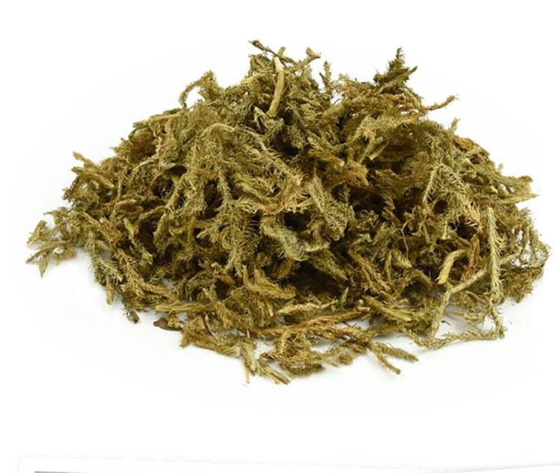 精品伸筋草中药材产地直销