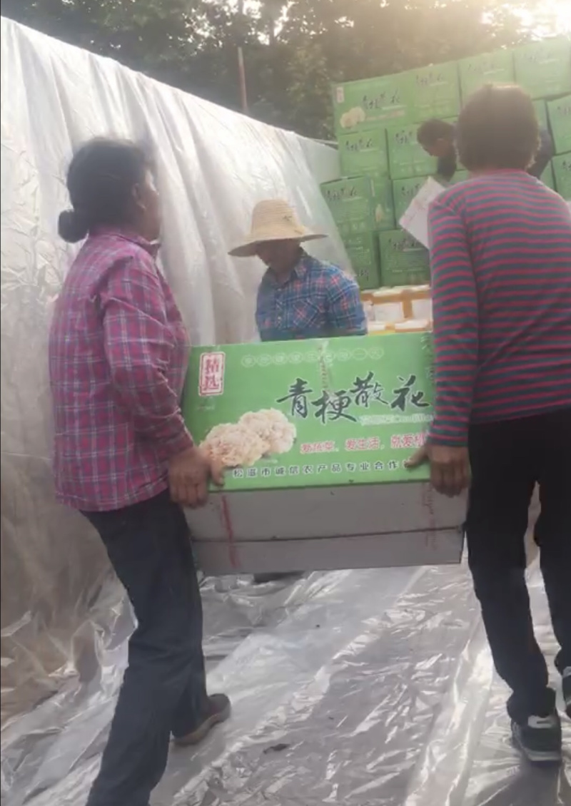 有机花