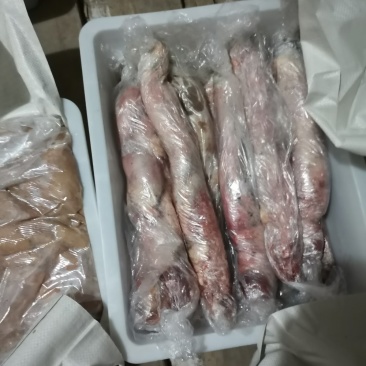 新疆本地新鲜马板肠马鞭