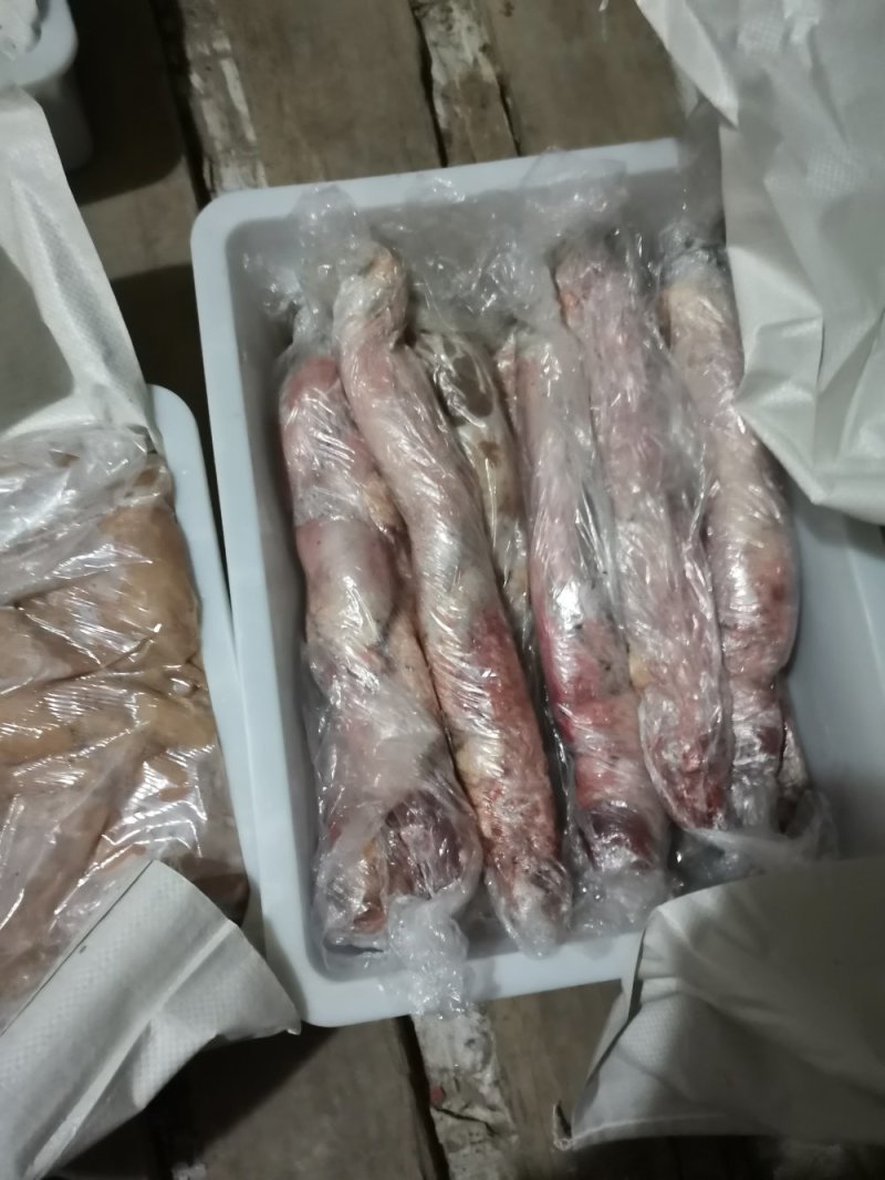 新疆本地新鲜马板肠马鞭