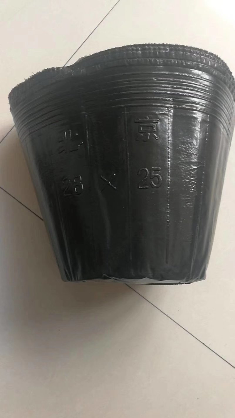 营养钵各种型号大杯单厂价直销质量保证！包邮到家！