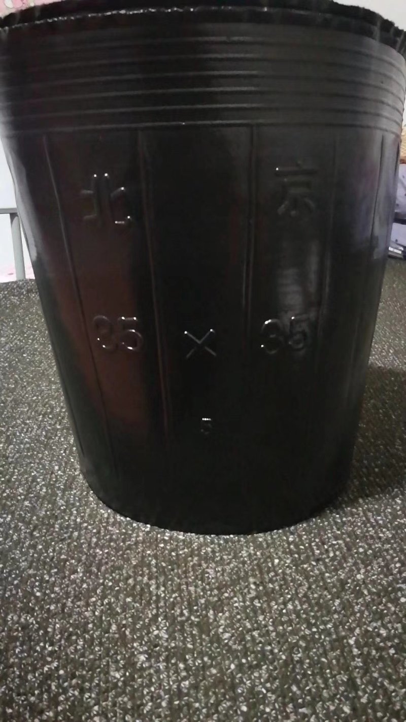 营养钵各种型号大杯单厂价直销质量保证！包邮到家！